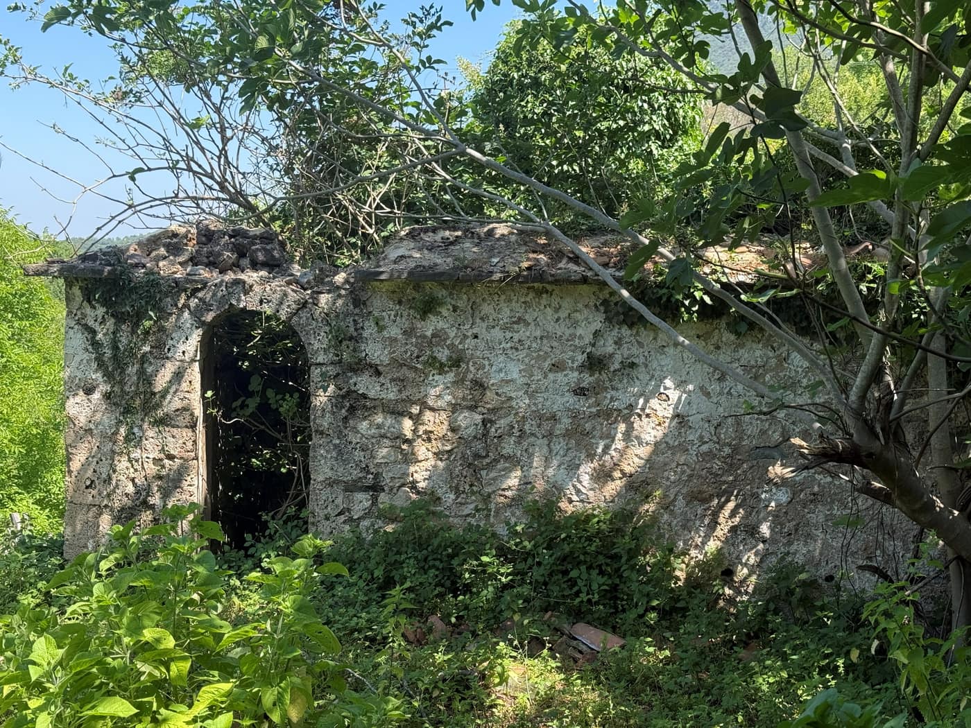 ANSAMBLI ZEJTAR