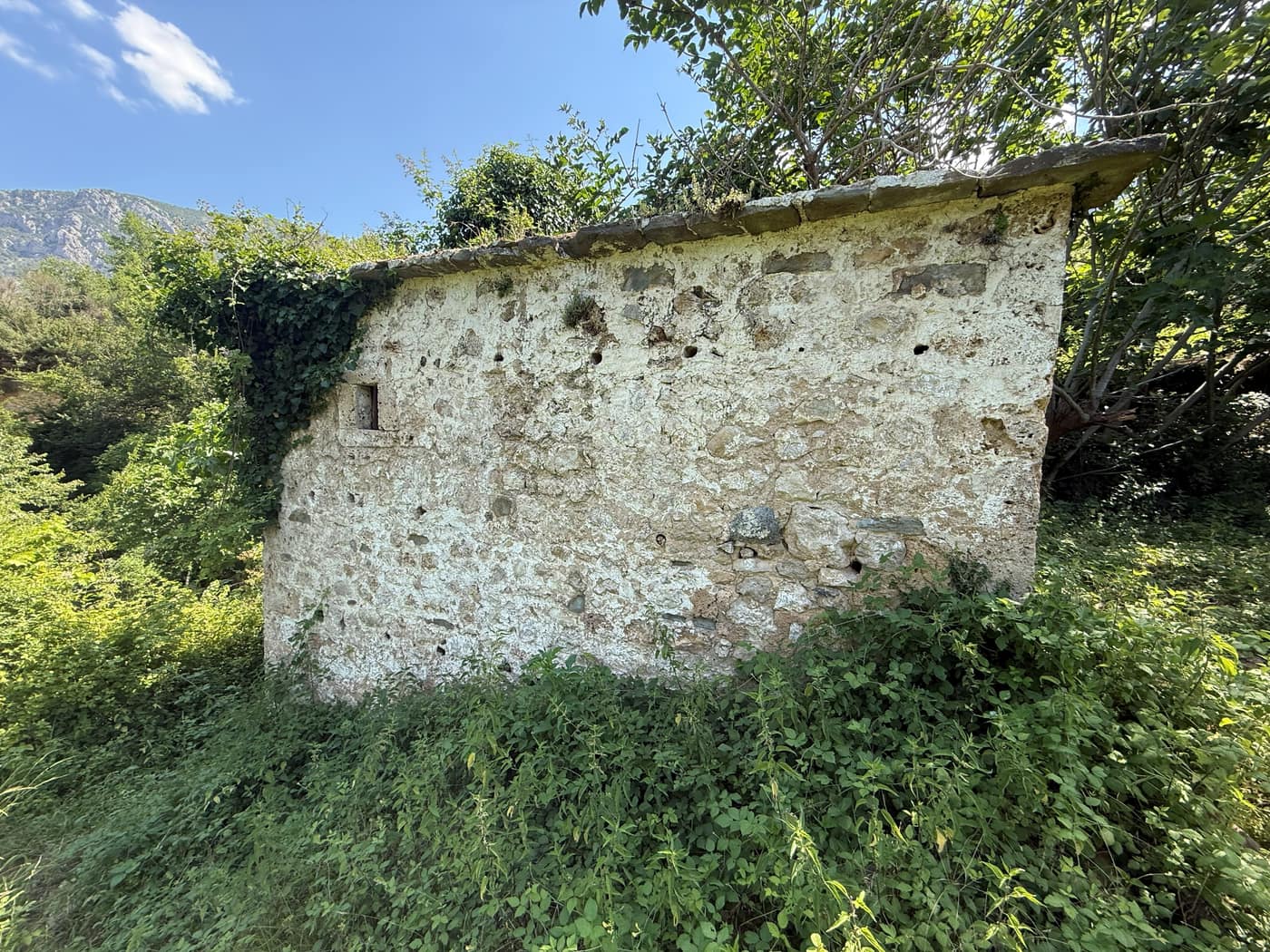 ANSAMBLI ZEJTAR - Foto 1