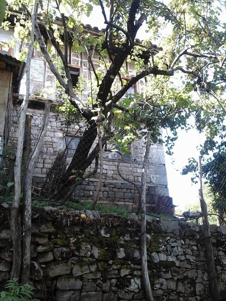 BANESA E ABDI (VELI) DOMIT - Foto 1