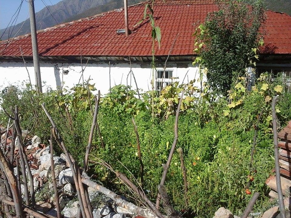 BANESA E ADEM KETES - Foto 3