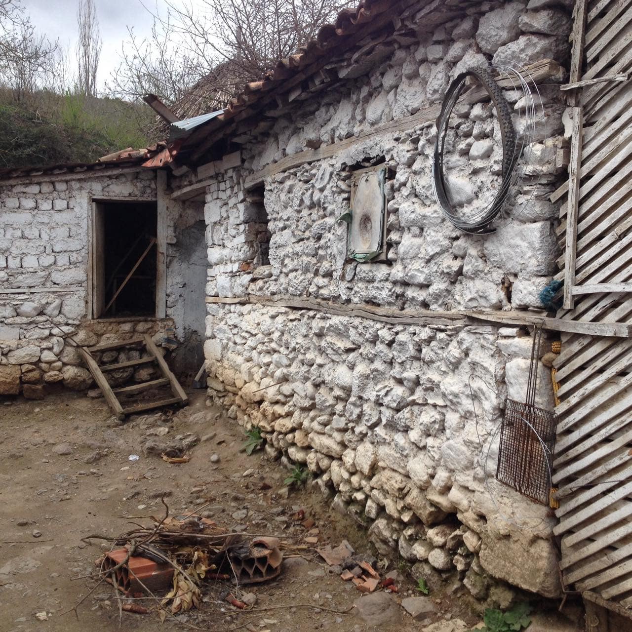BANESA E MUSTAFA SHIRES - Foto 3