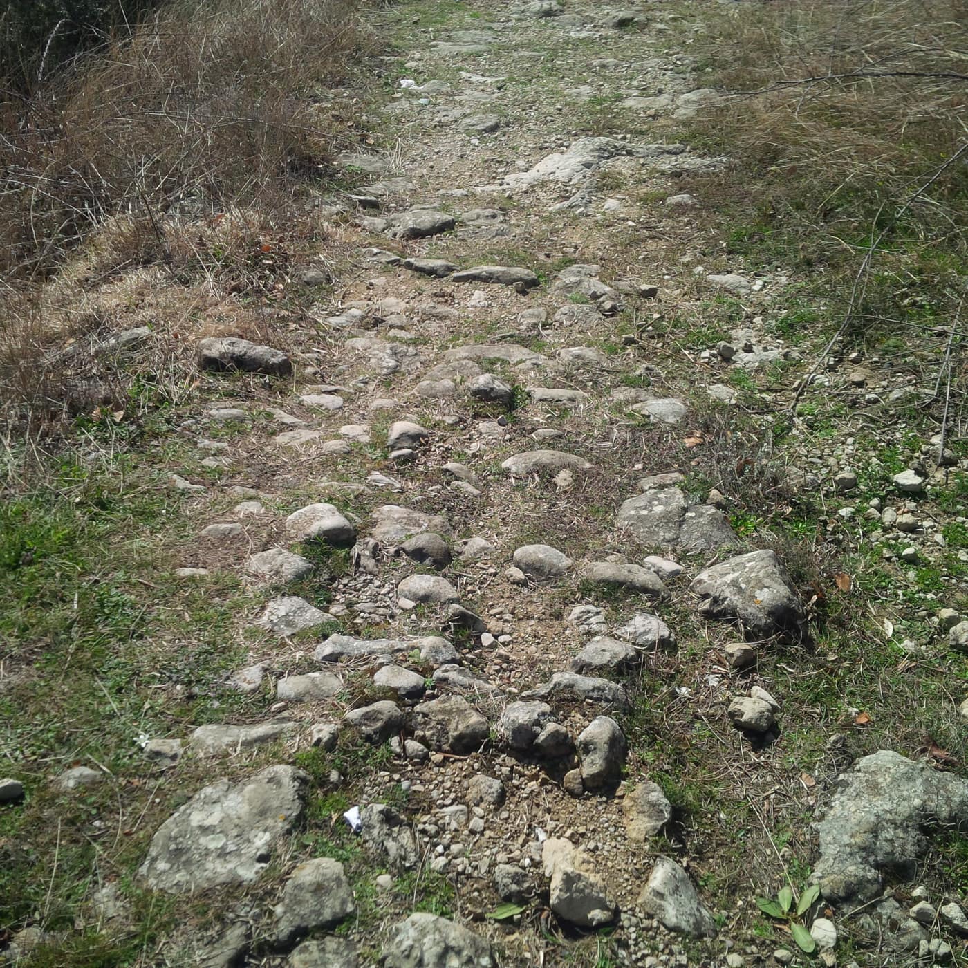 KALLDREMI NE LAGJEN MECE - Foto 2