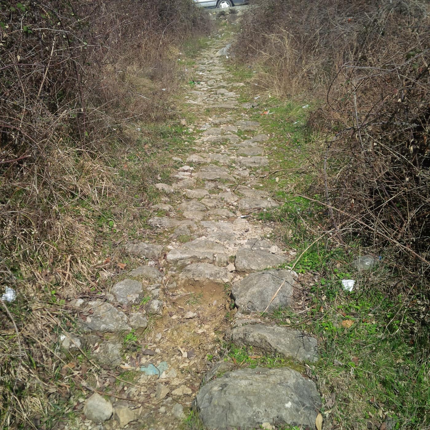 KALLDREMI NE LAGJEN MECE - Foto 3
