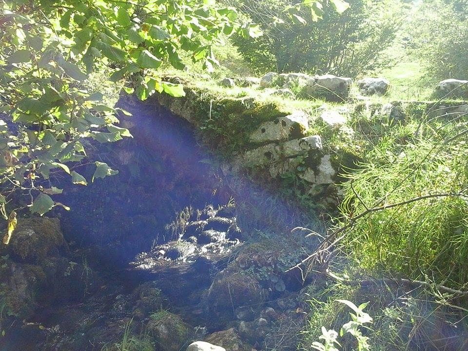 URA E VOGEL TE GURRA E KODRES - Foto 2