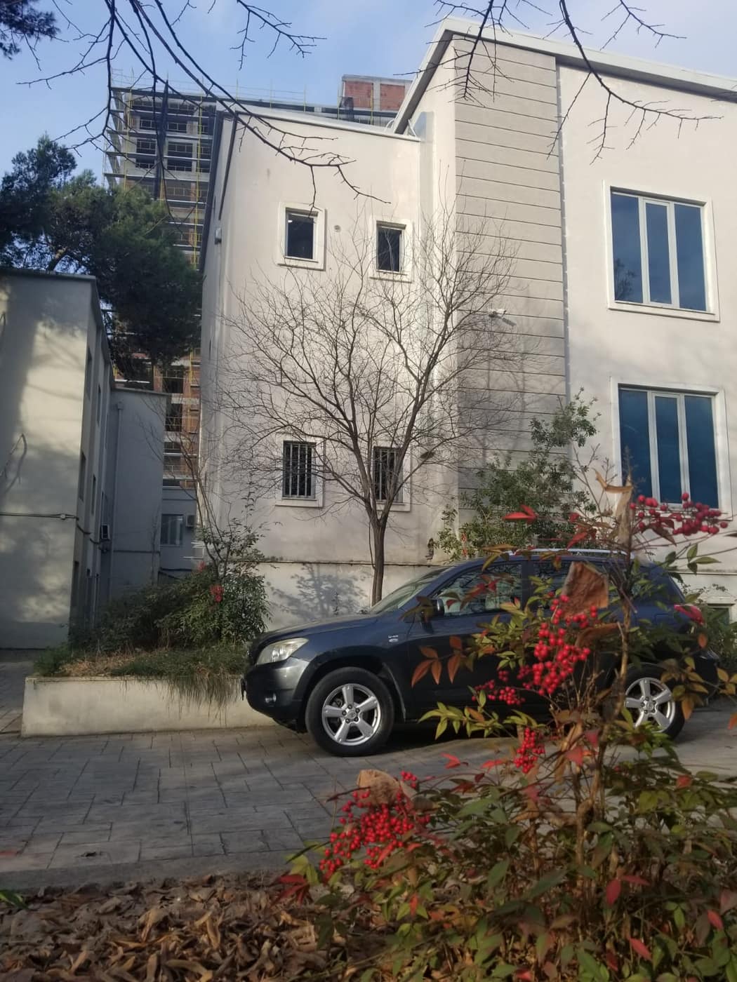 POSTE TELEGRAFA - Foto 1
